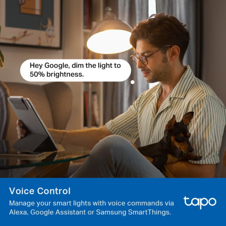 P-Link Tapo L430P